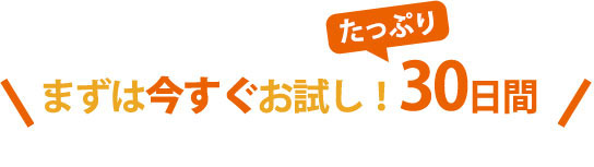 30日間無料トライアル実施中！